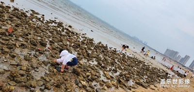 家門口領(lǐng)著孩子去趕海