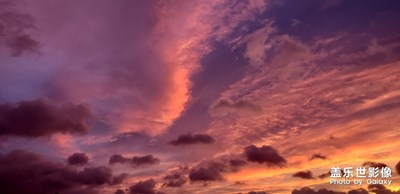 逛公園突然抬頭看到了