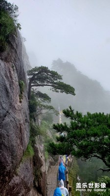 “利奇馬”中的黃山