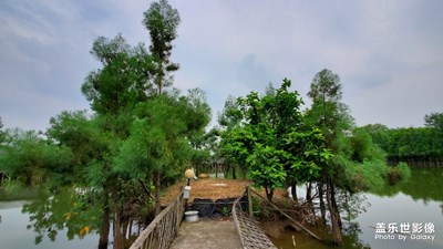 一日農(nóng)場主