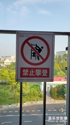 公司的陽臺上，看見了你。