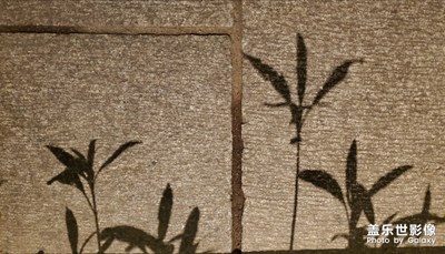 西湖夜色