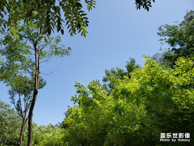 【淺秋時光】+ 秋日藍(lán)天之美