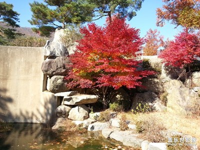 韓國(guó)回顧之-京畿道《大真大學(xué)2013》