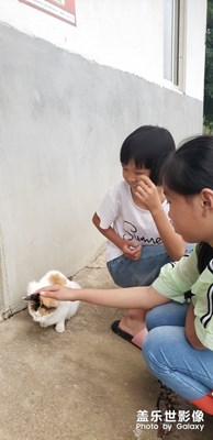 小伙伴
