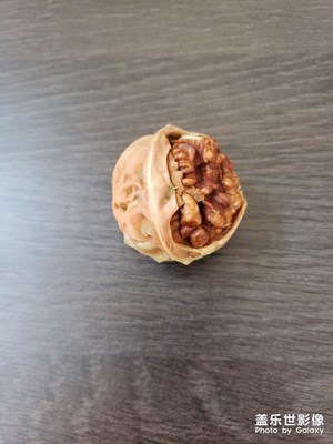 新鮮小核桃