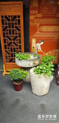 烏鎮(zhèn)，確實很美!