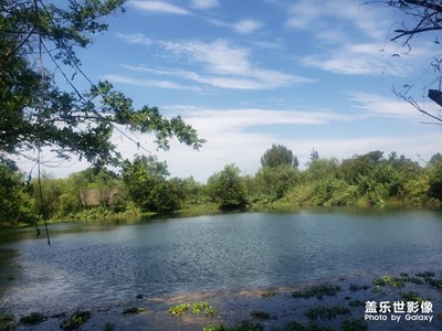 西溪濕地隨拍