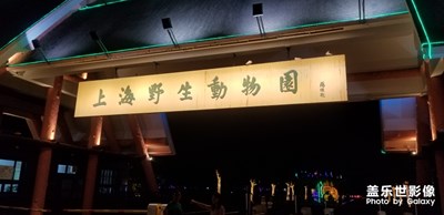 【游記分享】+上海游