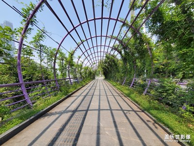農(nóng)村老頭溜山城，腳桿走彎了。


又走一波