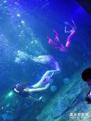 【歡度十一】+海立方美人魚