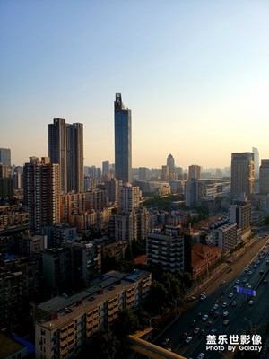 黃昏下的城市森林