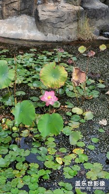 【國慶游記】+外出走走