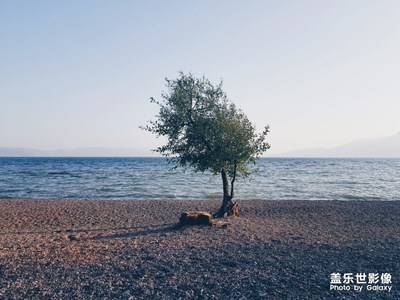 【Note8】冷門卻有內涵的撫仙湖