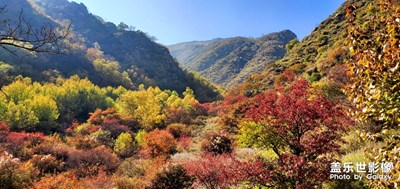秋景正當時