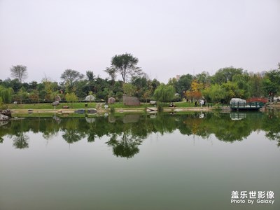 【上下班隨想】+校園小湖