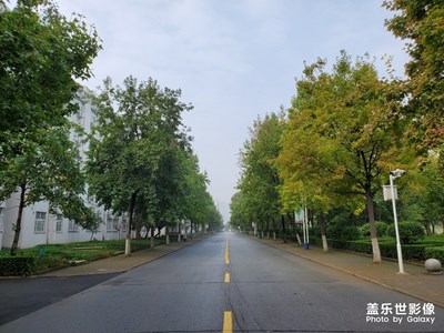 【愛在深秋】+校園風(fēng)情