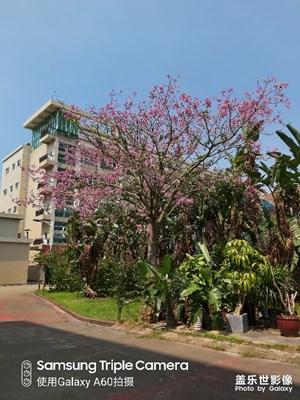 【愛在深秋】深秋拍拍拍