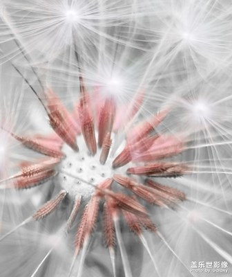 【愛在深秋】秋色