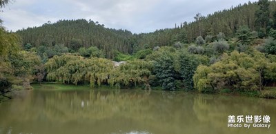 【愛在深秋】＋秋曰