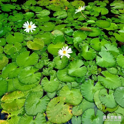 秋意濃