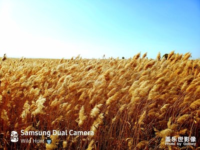 家鄉(xiāng)的深秋