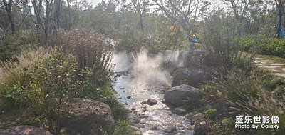 上海市奉賢區(qū)，不太會拍照