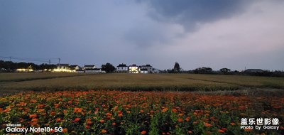 陽澄湖