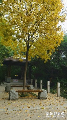 秋色漸濃