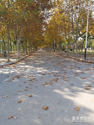 相機(jī)好像還沒(méi)以前的好