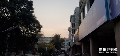 大雁往南飛??????????????????