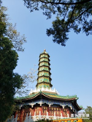 【晚秋光影】+ 香山公園秋景