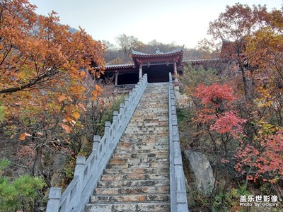 上天梯