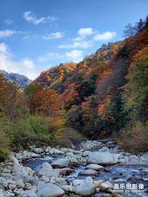 【秋·唐家河國家自然保護區(qū)】三星Note10+直出