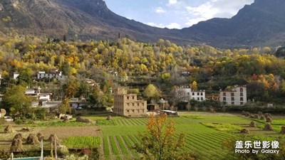 晚秋光影+金川 丹巴自駕游賞紅葉彩林