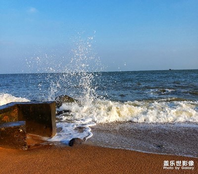 ?？诎咨抽T