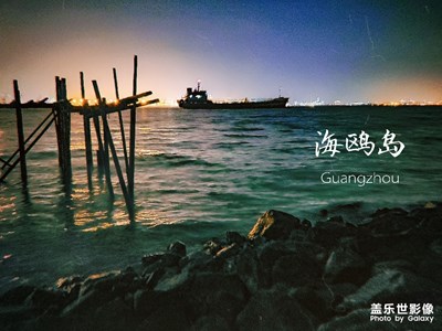 夜幕下的海鷗島