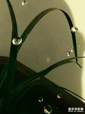 水滴