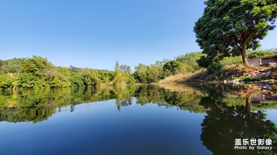 孤獨(dú)的風(fēng)景