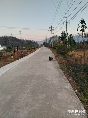 鄉(xiāng)村小路