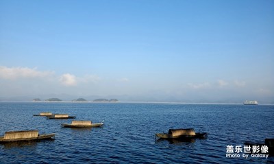 早上酒店門口散步拍的