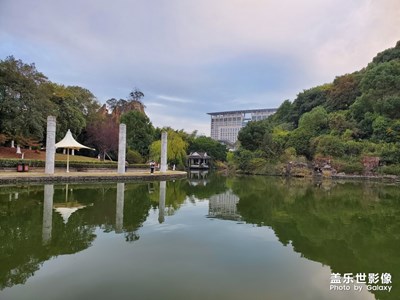 【倒影】+公園倒影