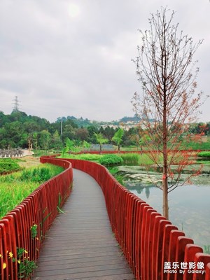 來(lái)呀，一起隨手拍，我還是覺(jué)得三星色彩沒(méi)有蘋果真實(shí)