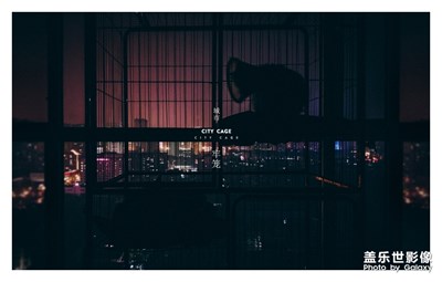 心聲