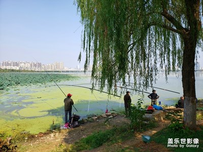 【享拍一刻】＋垂釣眾生相