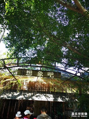 美麗的西雙版納