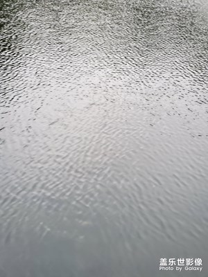 湖光花色