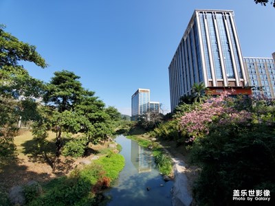 【享拍一刻】+冬日暖陽(yáng)