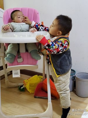 勝融讓梨－－大孫子（2歲半）喂妹妹吃早點(diǎn)!好感人呢!