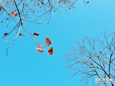 溪橋散步